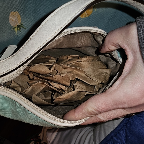 EC. Never Used Coach shoulder bag with free dust bag - Picture 4 of 6